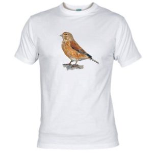 Tshirt (kvinder)